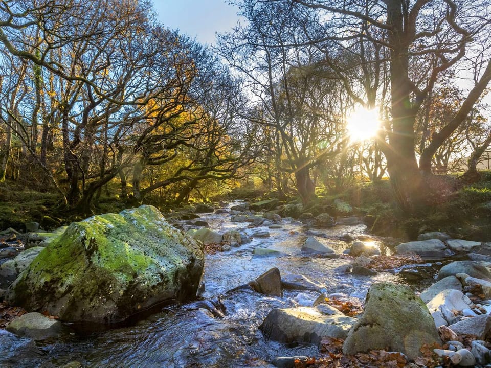 Beddgelert Cabins, Snowdonia - Forest Holidays Cabin in Wales