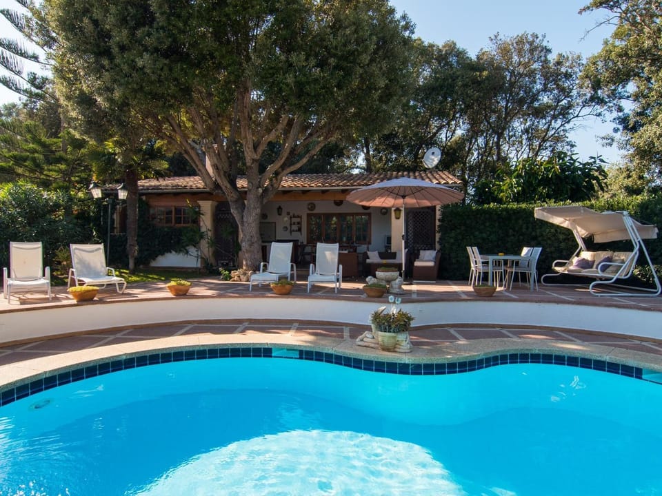Garden, Garden view, Swimming pool