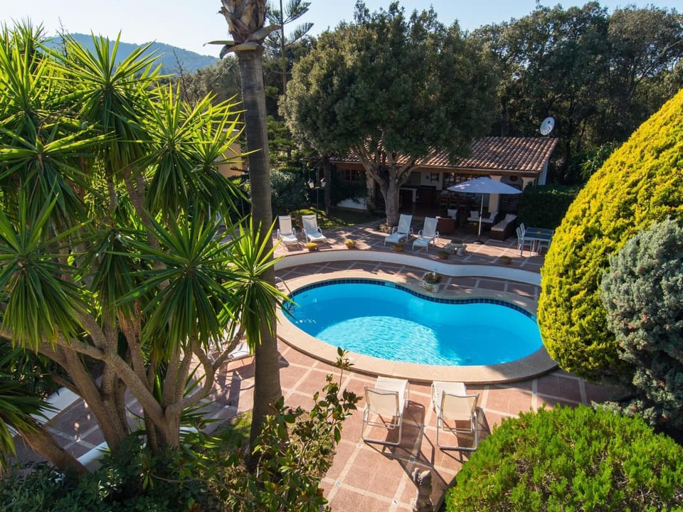 Garden, Swimming pool