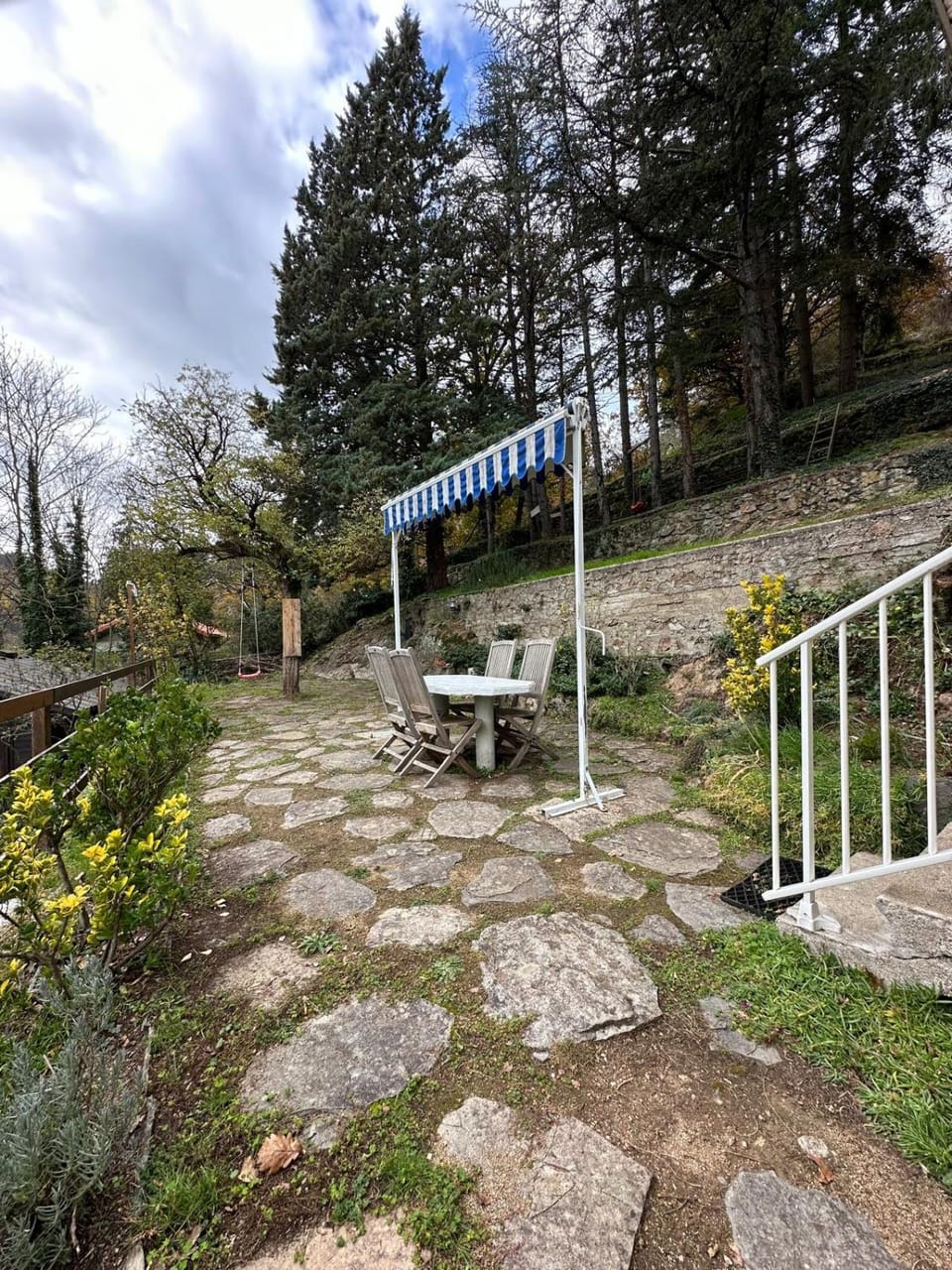 Patio, Garden, Garden view