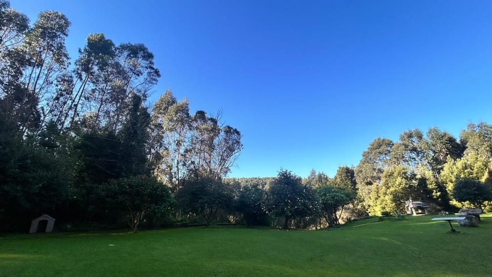 Garden view