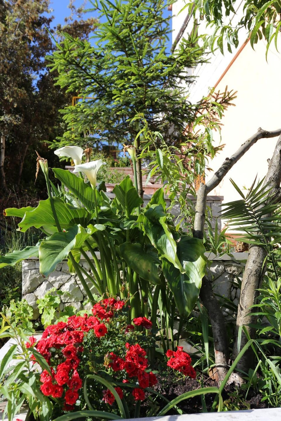 Location, children, Family