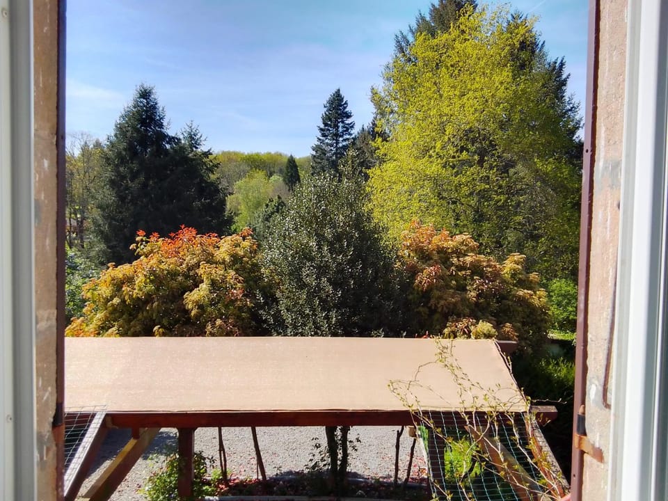 Garden view
