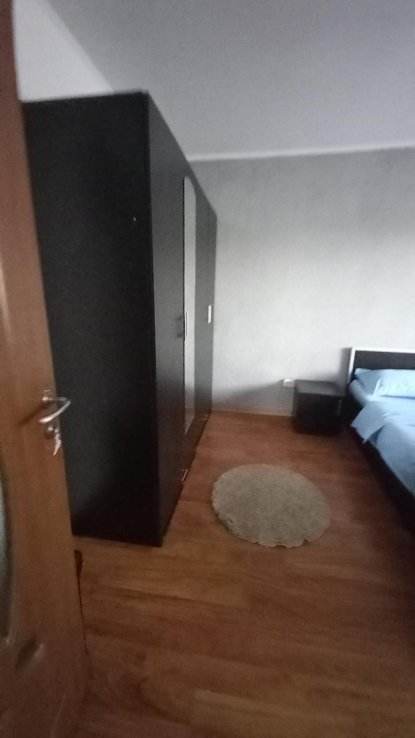 Micu Rebeca Apartment in Romania