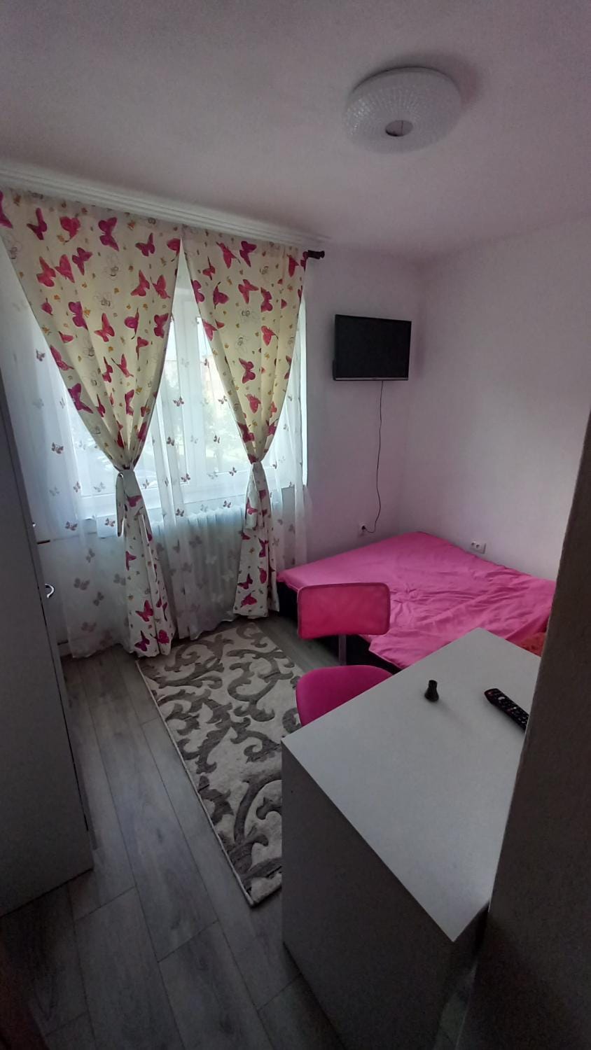 Micu Rebeca Apartment in Romania