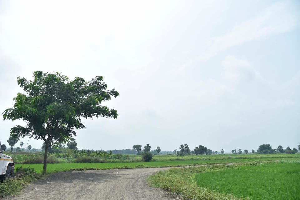 Property building, Natural landscape