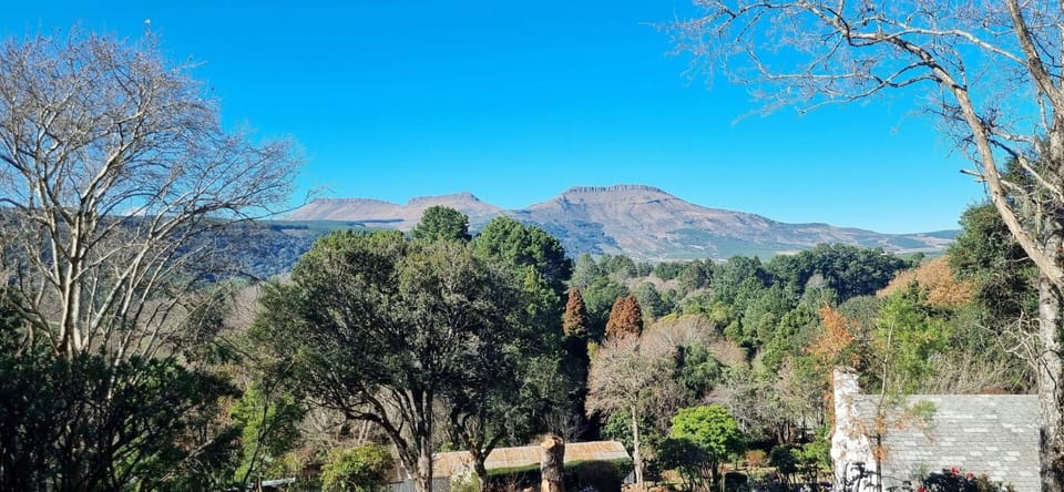 View (from property/room)