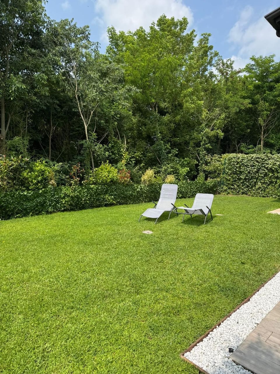 Garden, sunbed