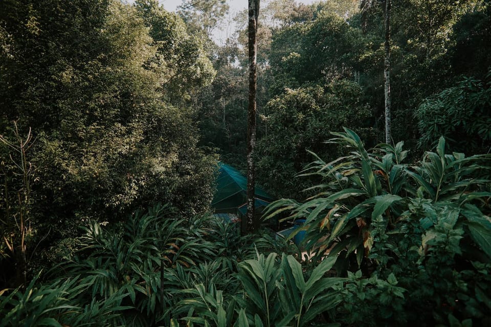 Spice Legoon Munnar House in Kerala