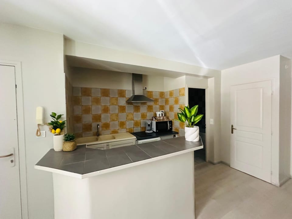 Studio de 30 m2 centre-ville NARBONNE Apartment in Narbonne
