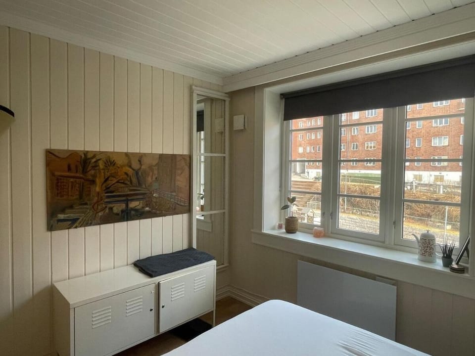 Cozy apartment close to the city center Apartment in Oslo