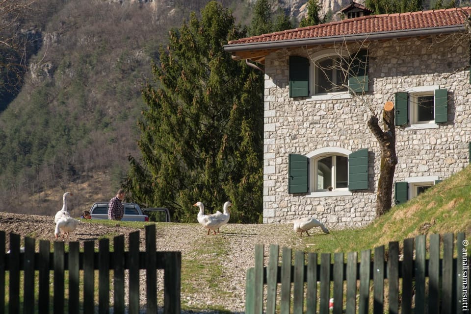 Agriturismo Borgo Titol Farm Stay in Friuli-Venezia Giulia