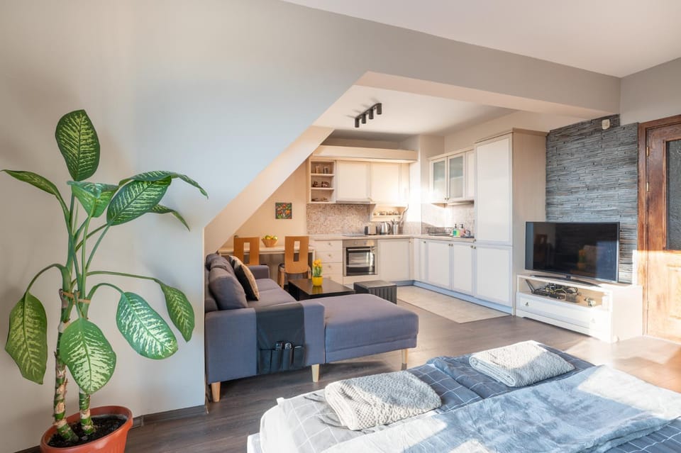 TV and multimedia, Kitchen or kitchenette, Living room