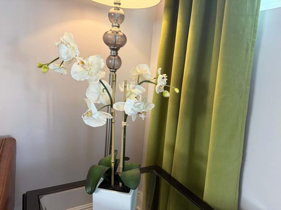 Living room, Decorative detail, Seating area