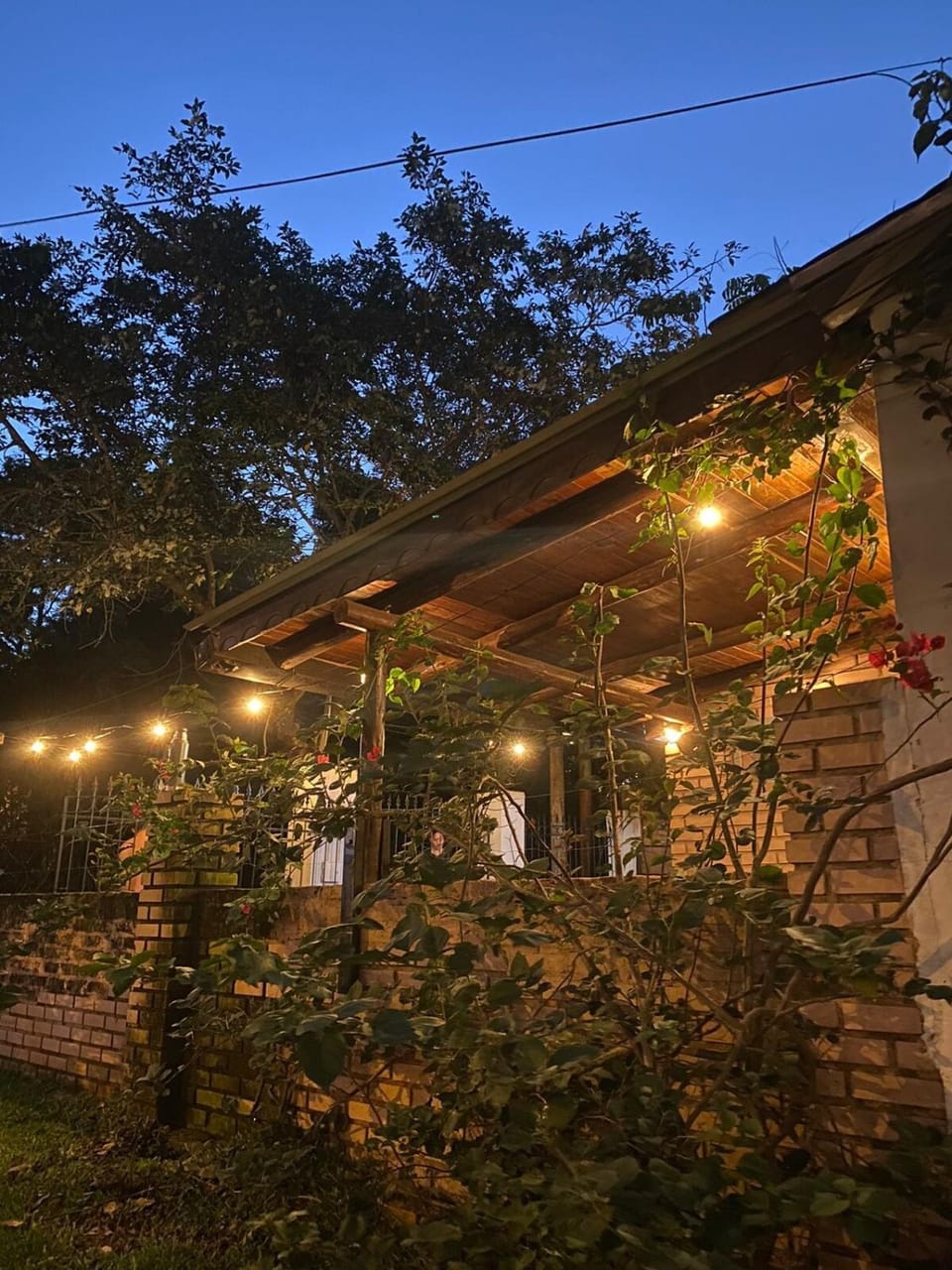 Night, Garden, Garden view