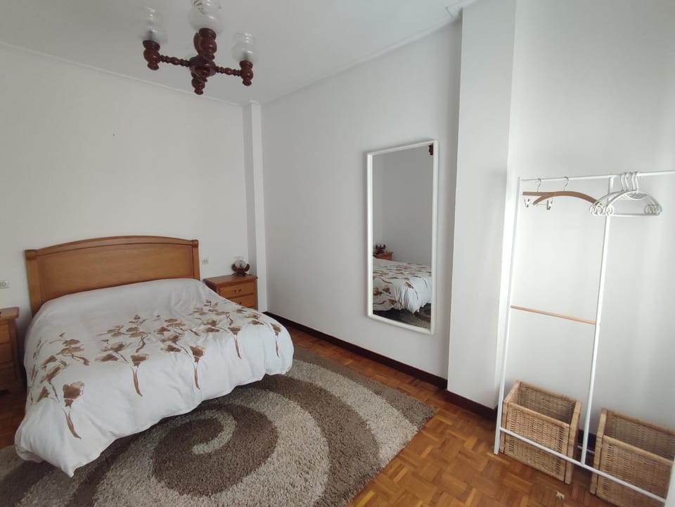 Piso Fenuca Apartment in Ourense