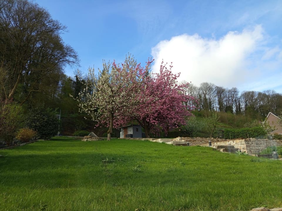 Garden, Garden view