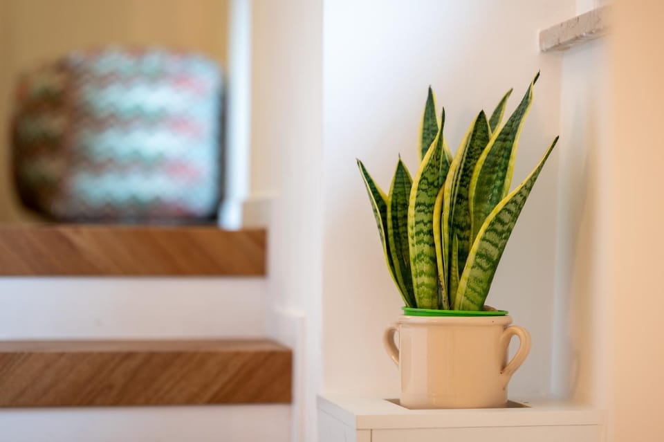 La dimora del figulo Apartment in Apulia