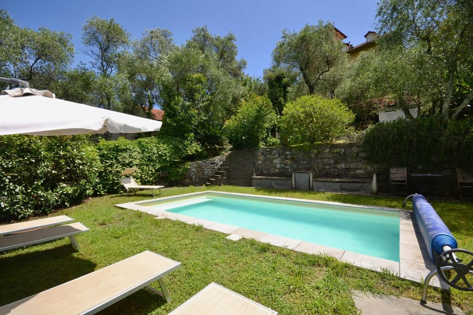 Garden, Garden view, Pool view, Swimming pool, sunbed