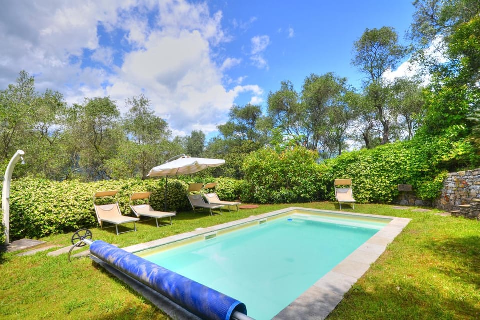 Garden, Pool view, Swimming pool, sunbed