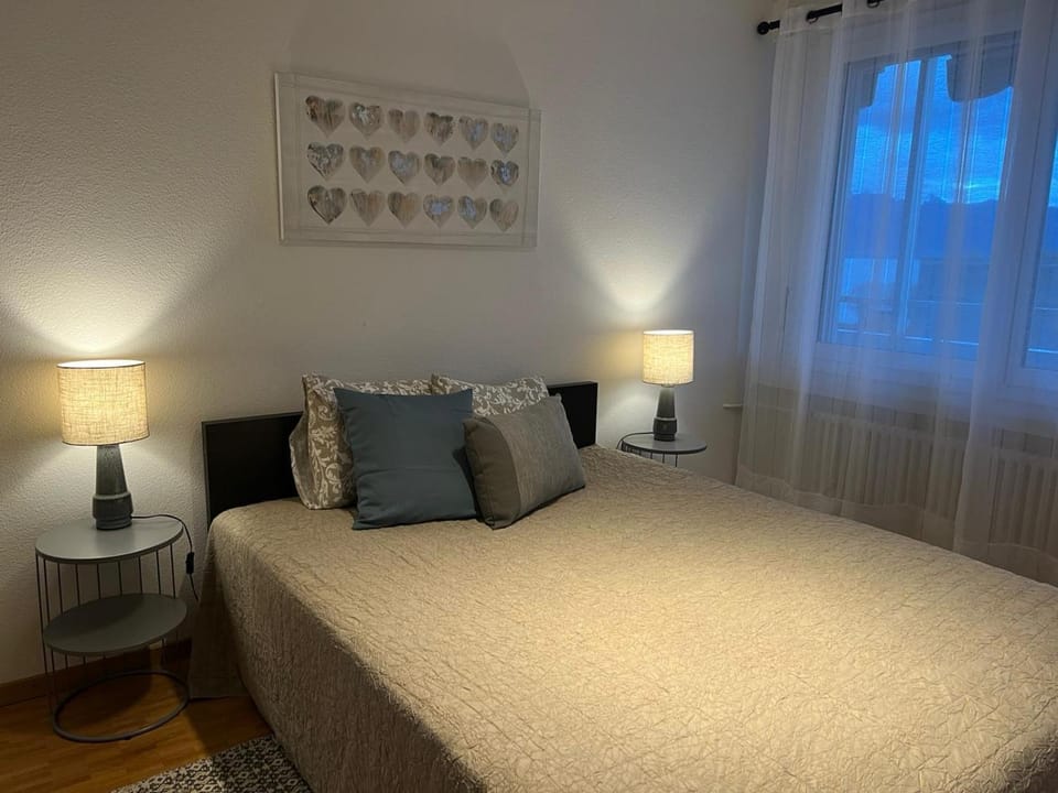 Standing Apartment in Ouchy - Lausanne Apartment in Lausanne