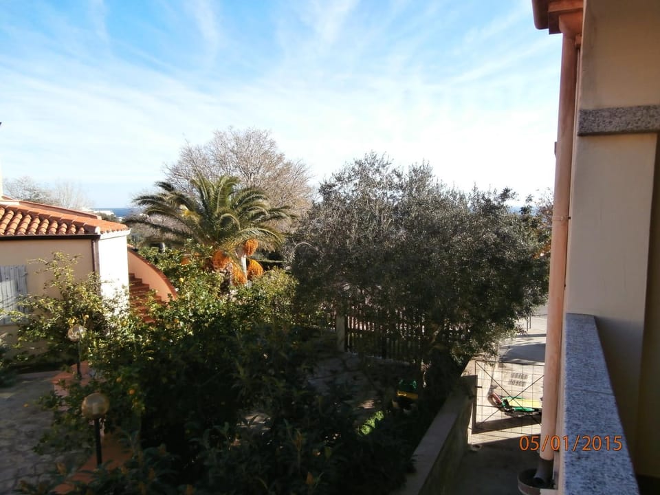 View (from property/room)