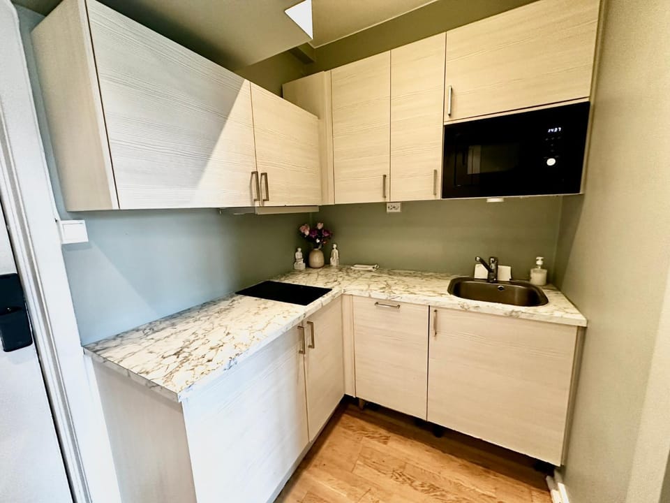 Kitchen or kitchenette, microwave, stove