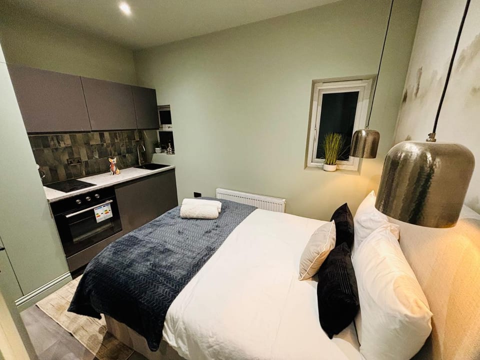 Luxury city centre London flats, ideal for tourists Apartment in London Borough of Croydon