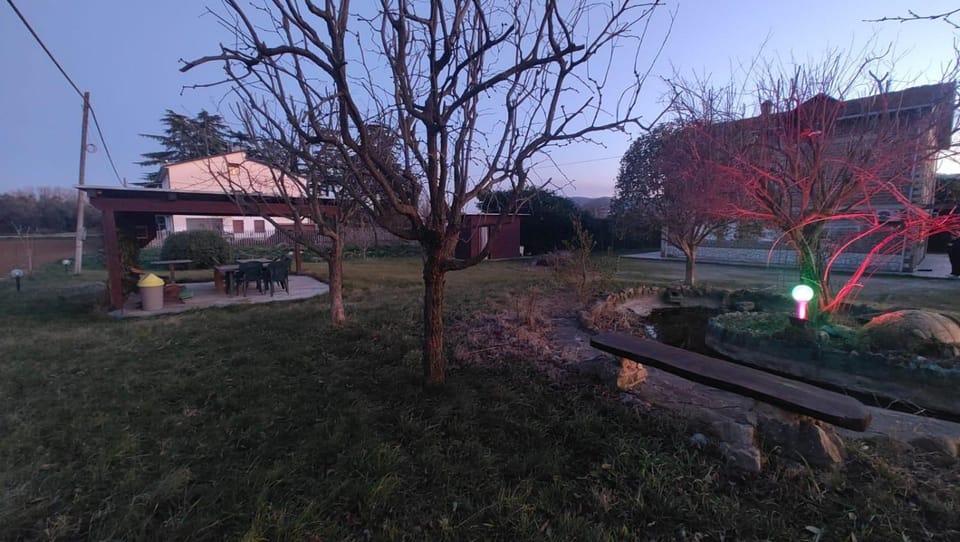 Patio, Night, Garden