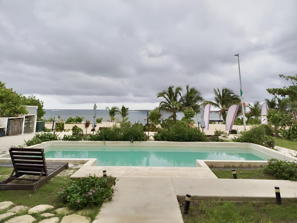 Oceanfront 2Bed - 2Bath Paradise Mahahual Apartment in State of Quintana Roo