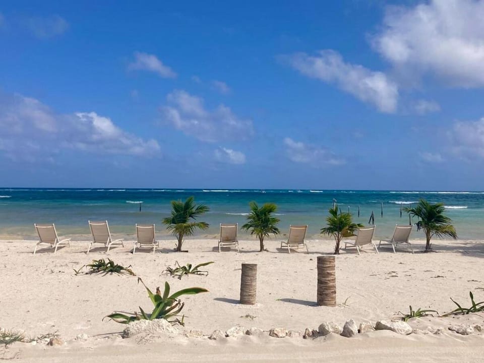 Nearby landmark, Day, Natural landscape, Beach, Sea view, sunbed