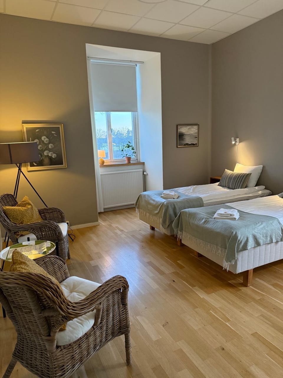 Photo of the whole room