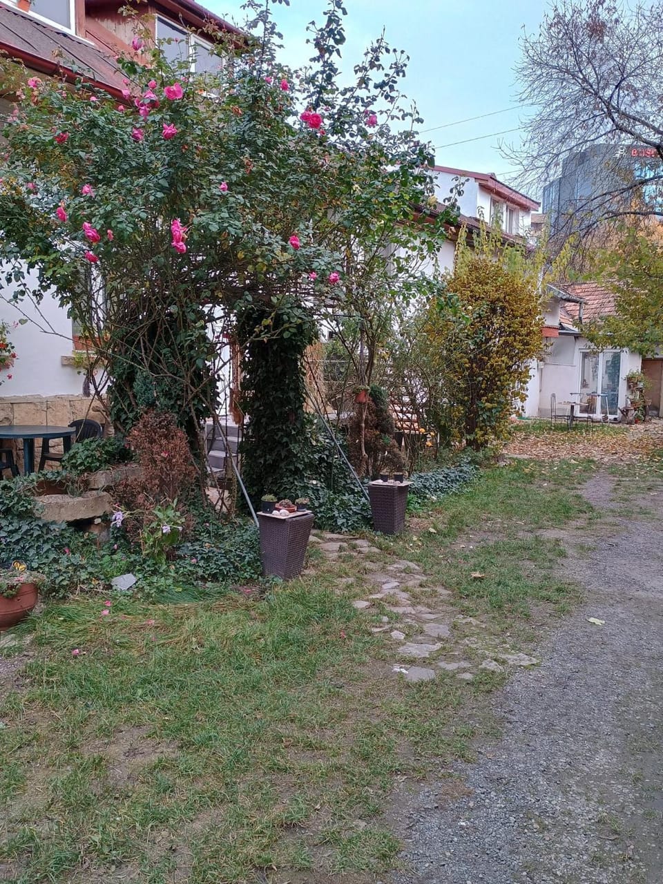 Central decent cozy apartament Cluj-Napoca Apartment in Cluj-Napoca