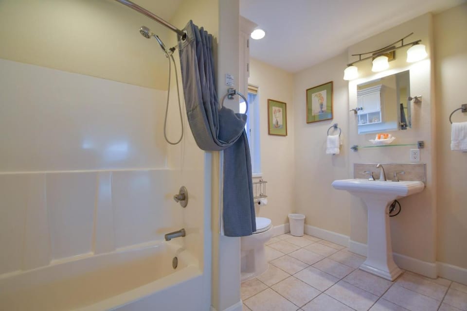 Shower, Toilet, Bathroom, Bath