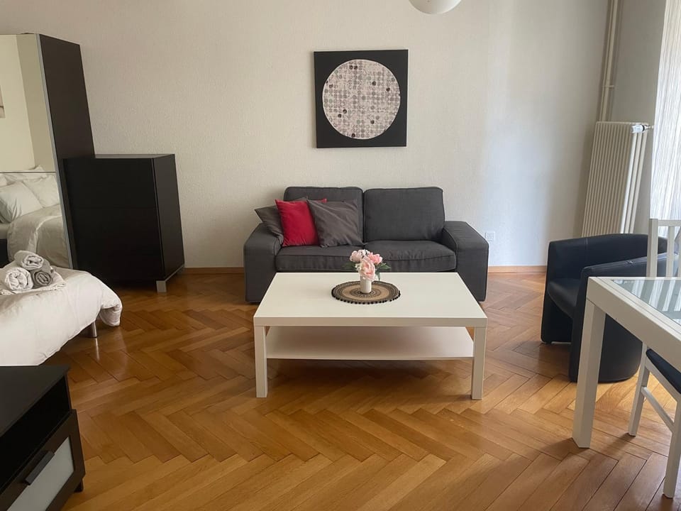 Appartement clame 6 minutes de la gare de Lausanne Apartment in Lausanne