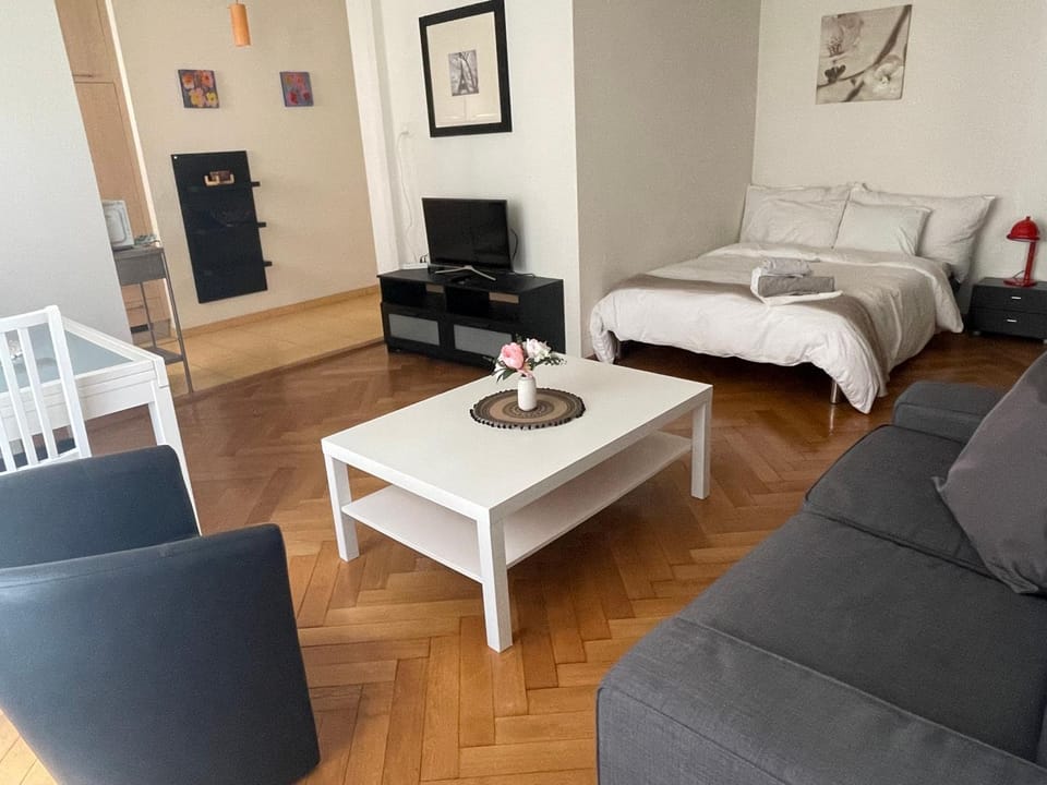 Appartement clame 6 minutes de la gare de Lausanne Apartment in Lausanne