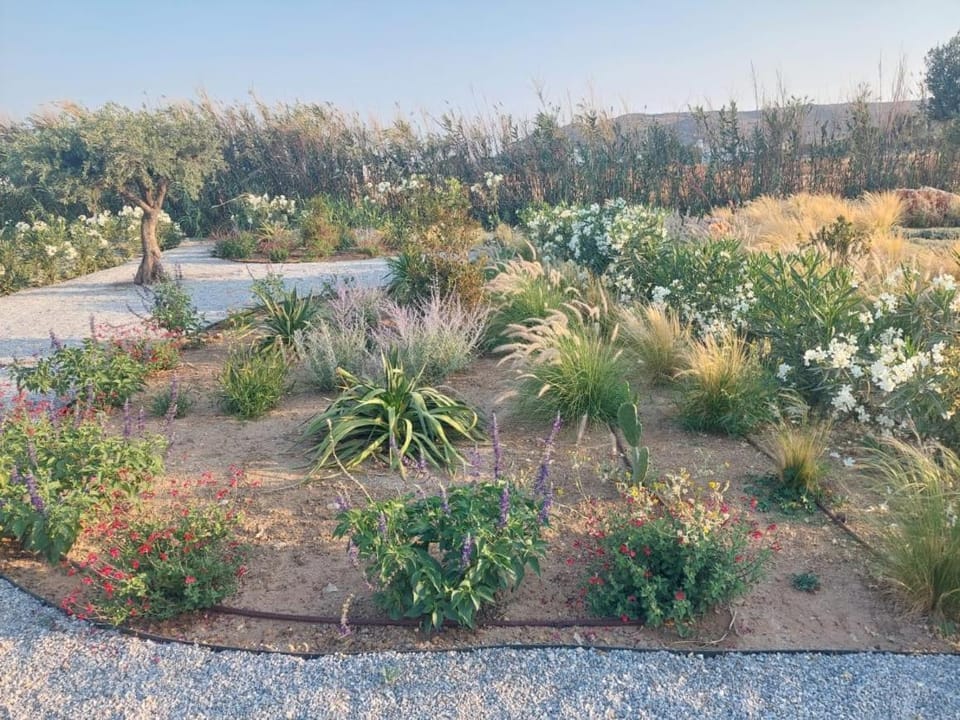Day, Natural landscape, Garden