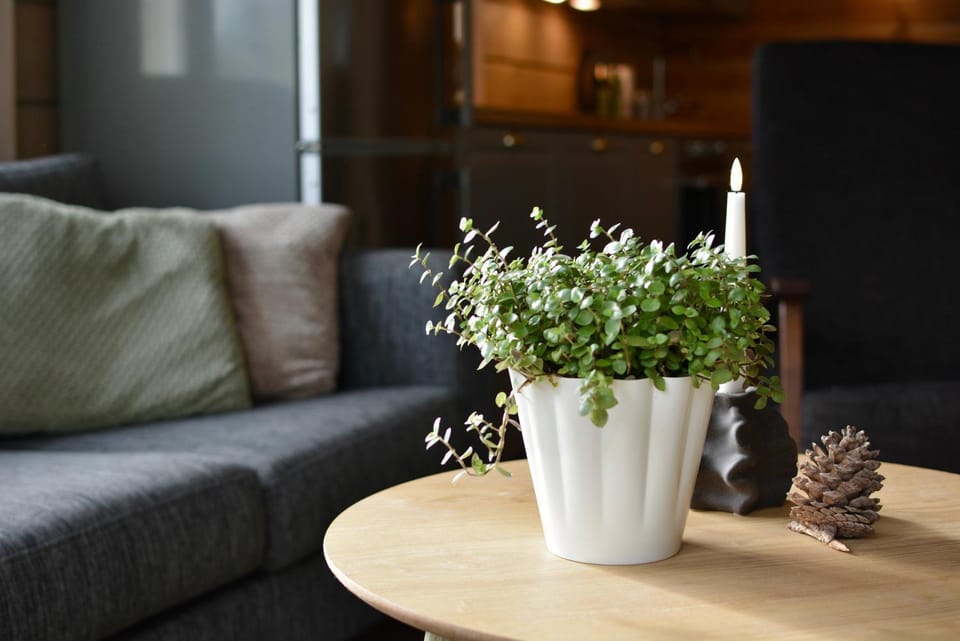 Honkamaja, Aavasaksa, Lappi, Lapland Chalet in Lapland