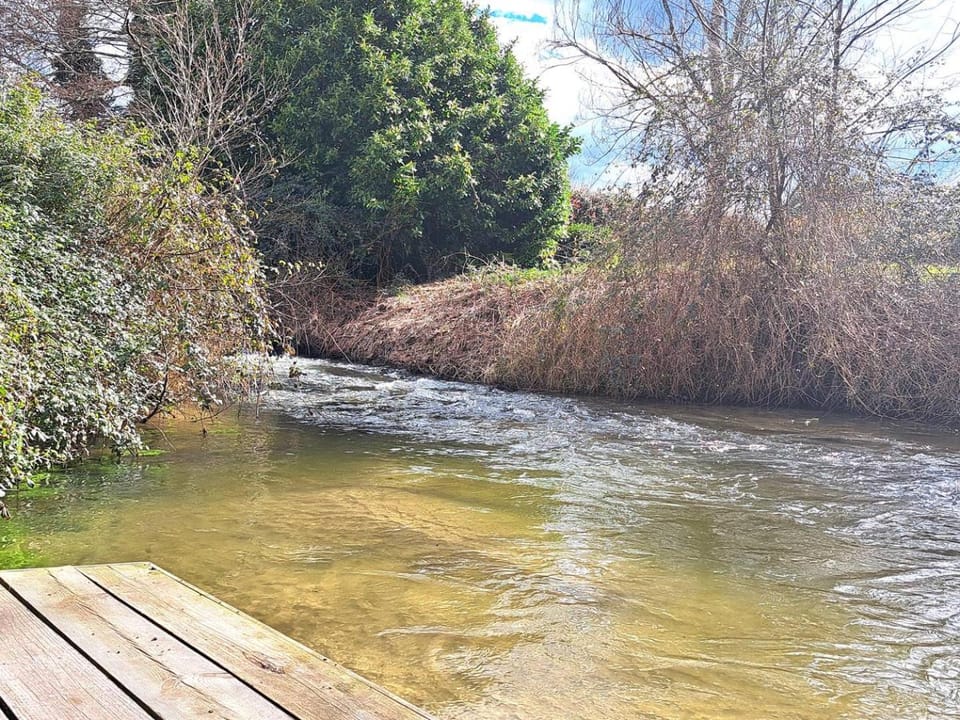 Spring, Day, Natural landscape, River view