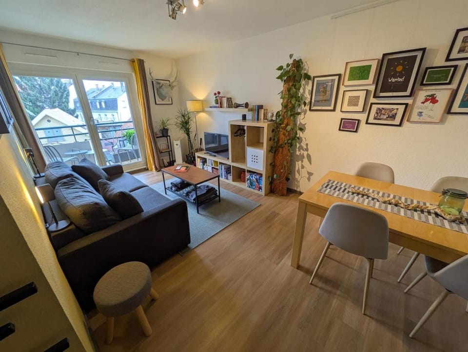 Charming apartment in a great location Apartment in Strasbourg