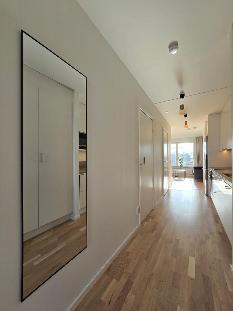 Kitchen or kitchenette, Living room, wardrobe