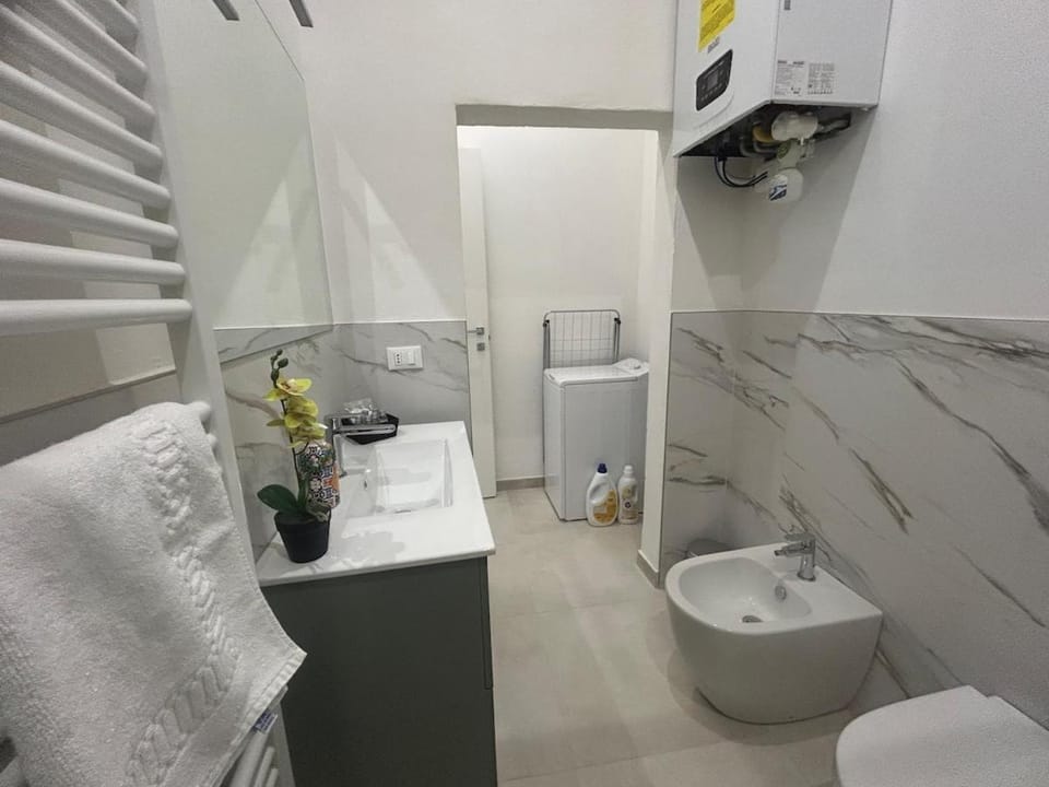 Toilet, Bathroom, bidet, towels