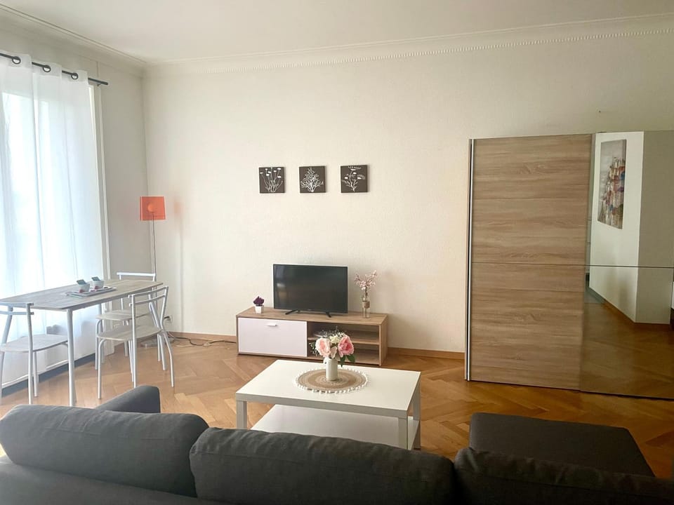 Fully Furnished down town- 5 minutes from Lausanne Train station Apartment in Lausanne
