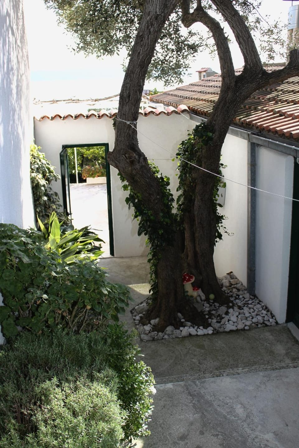 Location, children, Family
