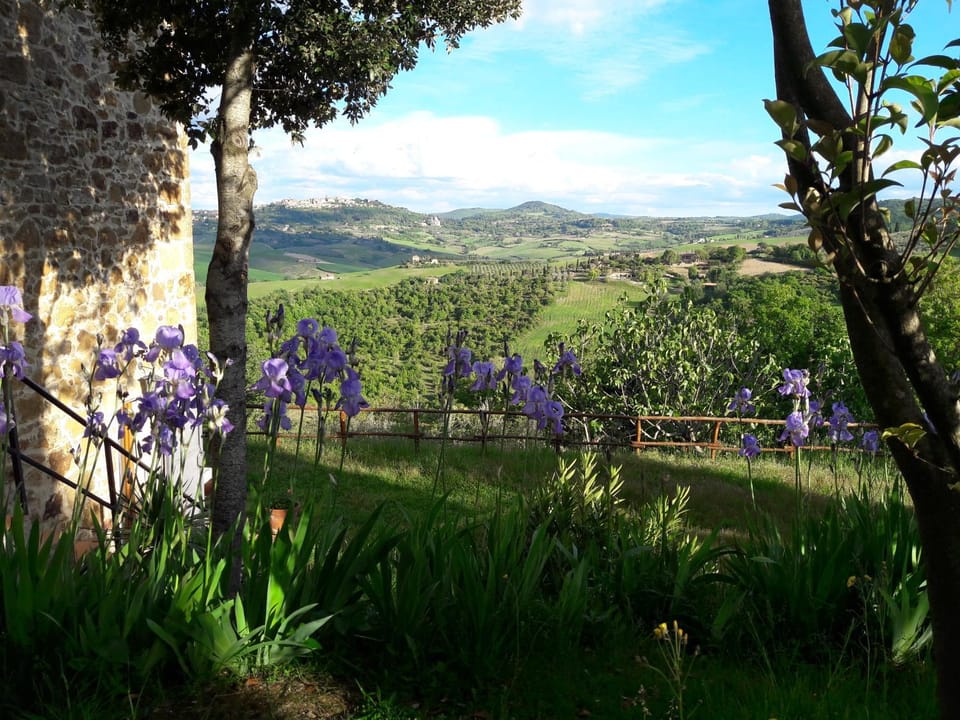 Garden, Garden view