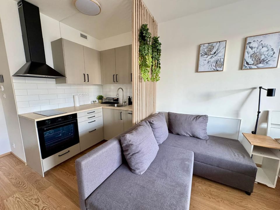 Kitchen or kitchenette, Living room, kitchen, kitchen