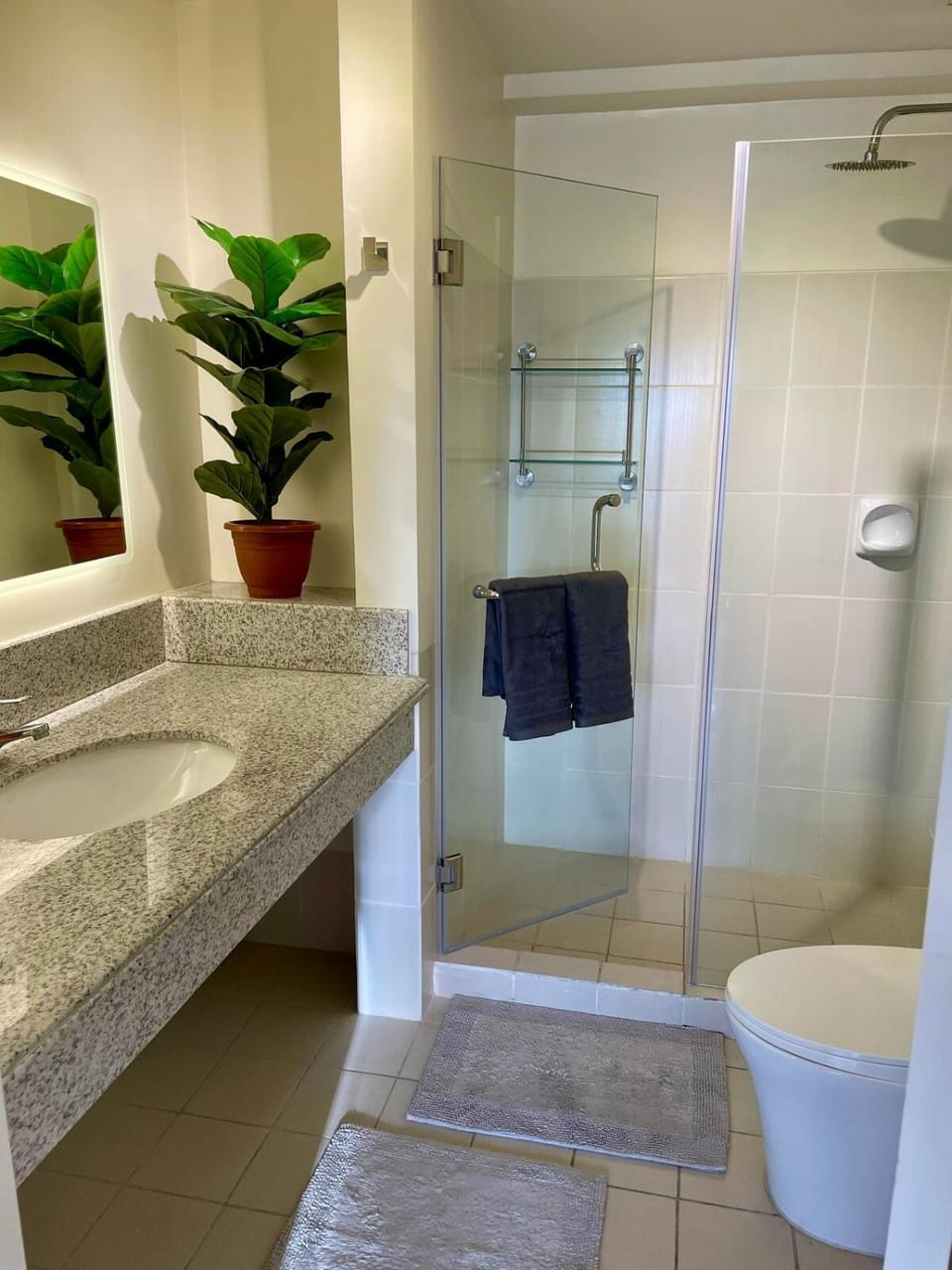 Shower, Toilet, Bathroom, towels
