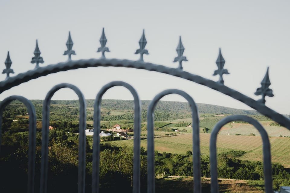 Hopovske Terase House in Vojvodina