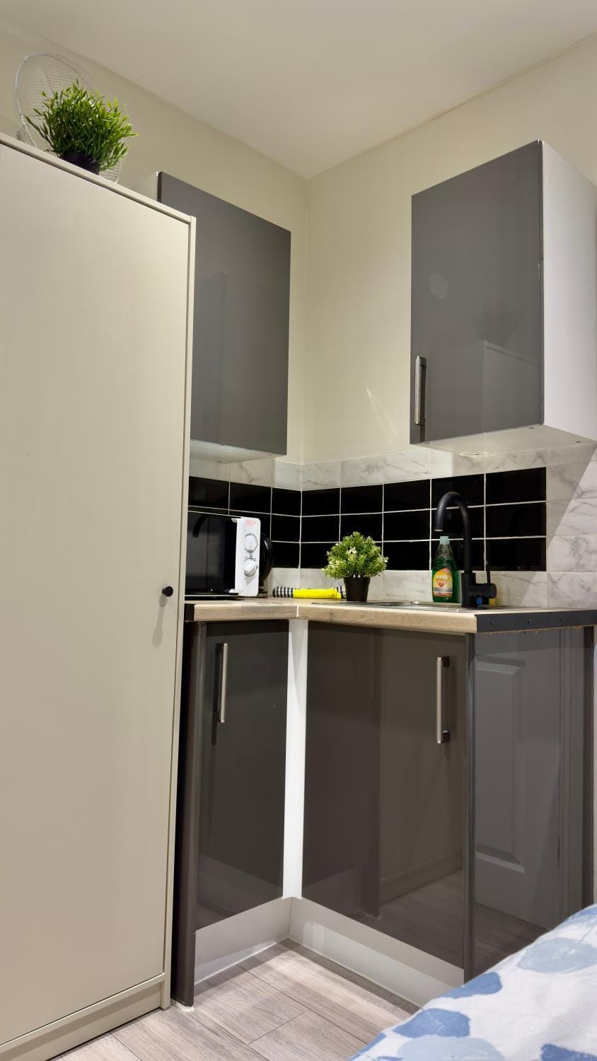 W3 Hotel Apartment in London Borough of Ealing