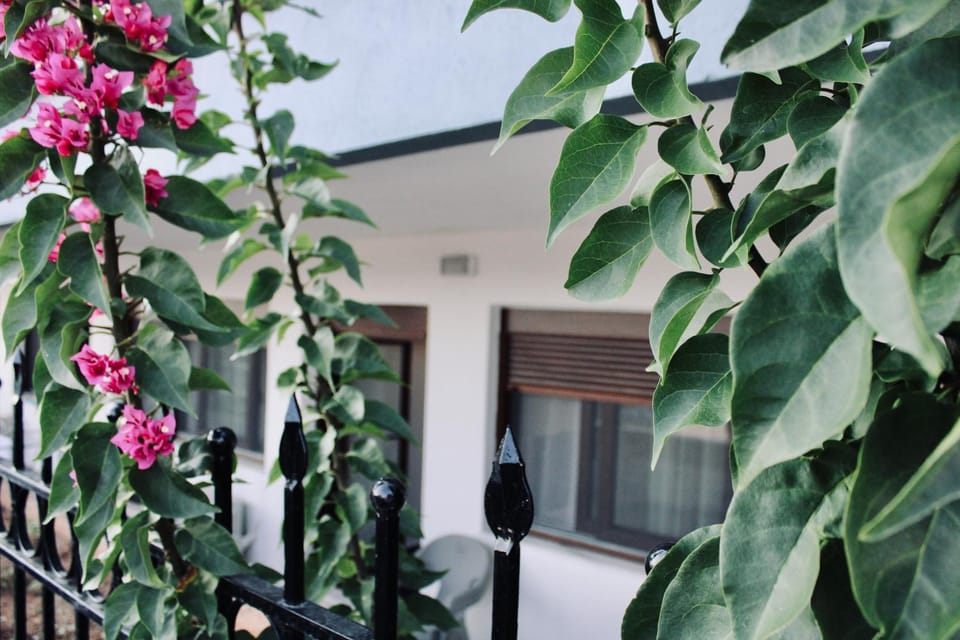 SeaShell Oasis Apartment Apartment in Halkidiki